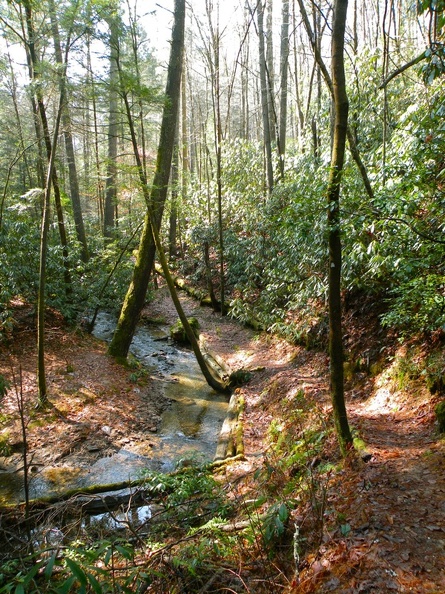 Parched Corn Creek - Rough Trail.jpg